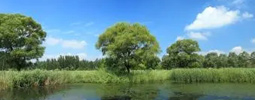 綠色產(chǎn)品認(rèn)證，人造板、衛(wèi)生陶瓷、家具、建材、快遞包裝等認(rèn)證